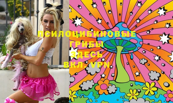 mix Алексин