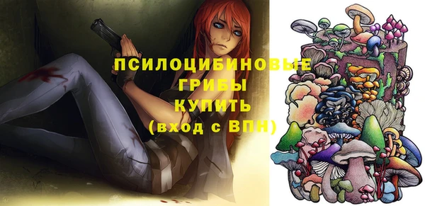 бутират Алексеевка