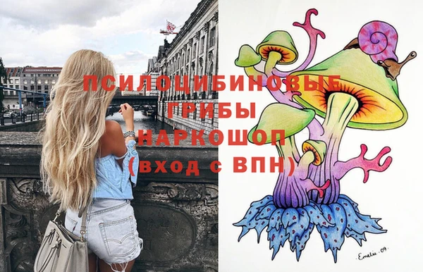 дмт Абинск