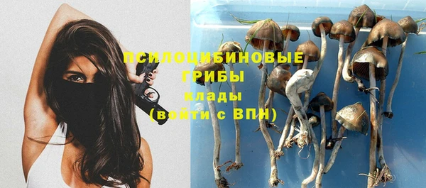 дмт Абинск