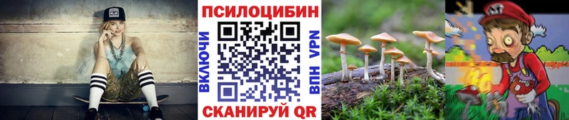 Галлюциногенные грибы Magic Shrooms  Черемхово 
