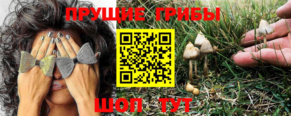Псилоцибиновые грибы Magic Shrooms  Псилоцибиновые грибы Magic Shrooms  Вход с VPN  Черемхово 